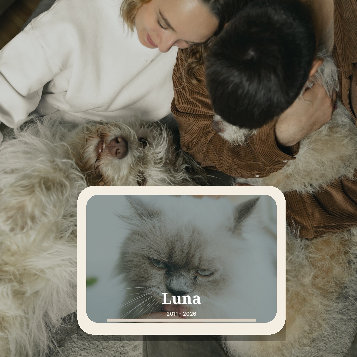 Personalized Pet Memorial Blanket