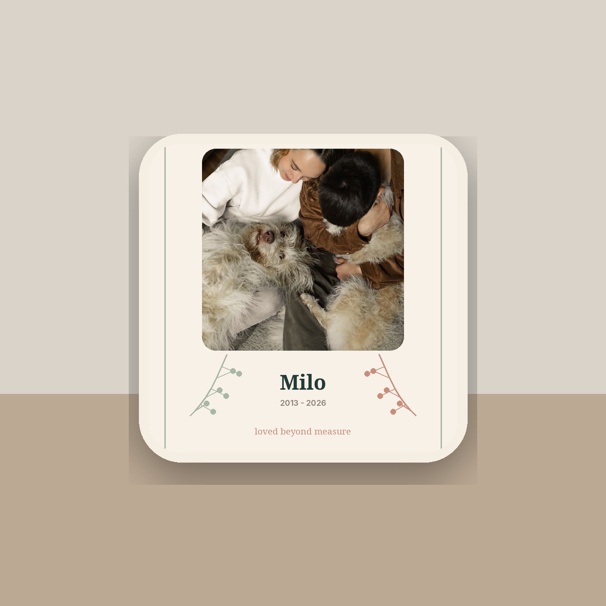 Custom Pet Memory Pillow